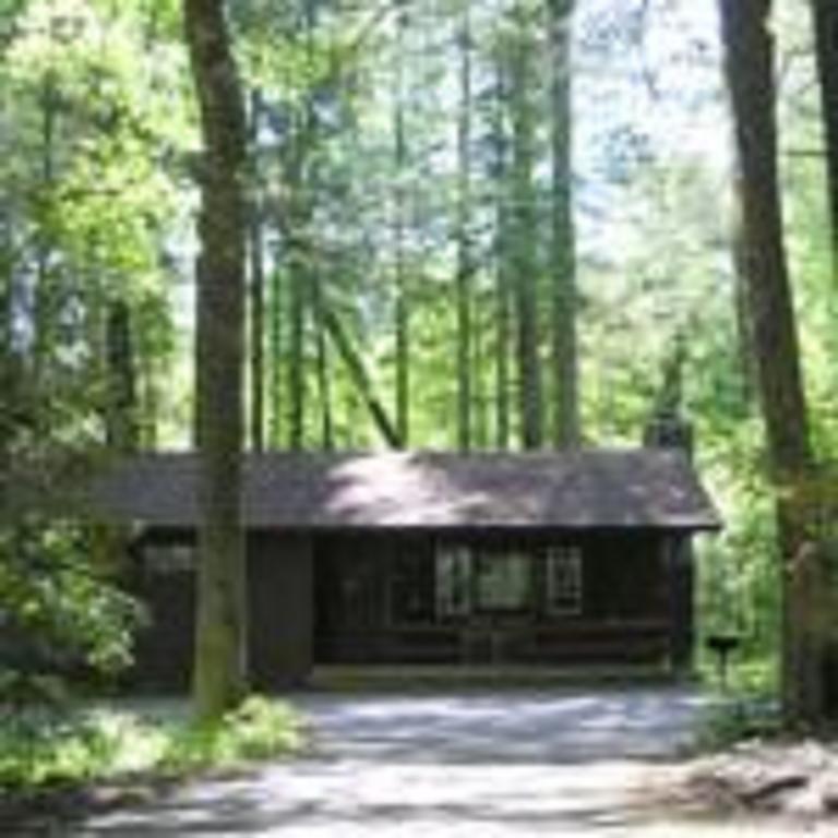Cabins At Twinbrook Resort マギー・バレー エクステリア 写真