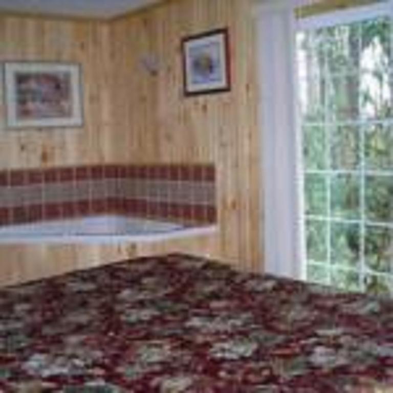 Cabins At Twinbrook Resort マギー・バレー エクステリア 写真