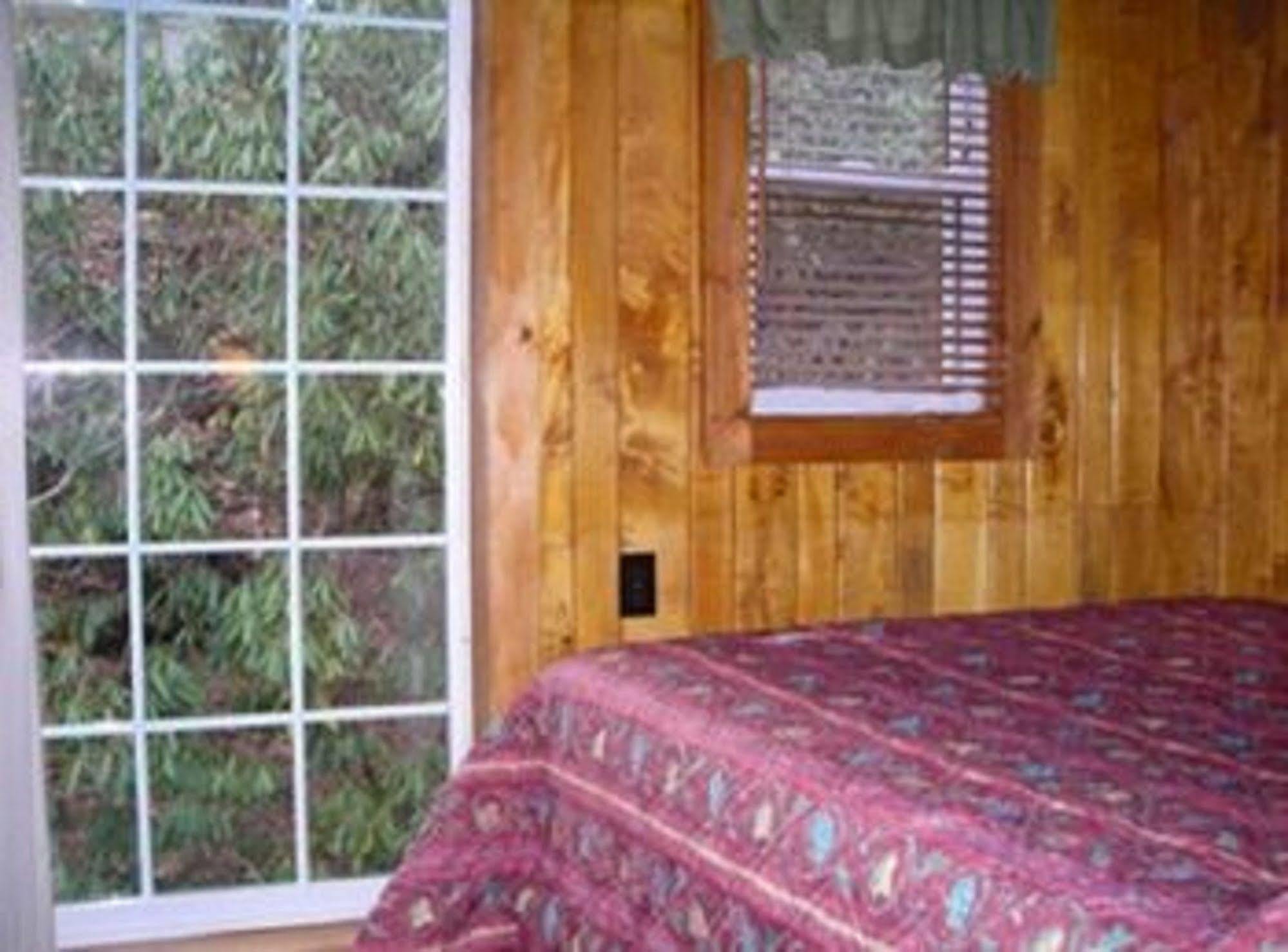 Cabins At Twinbrook Resort マギー・バレー エクステリア 写真